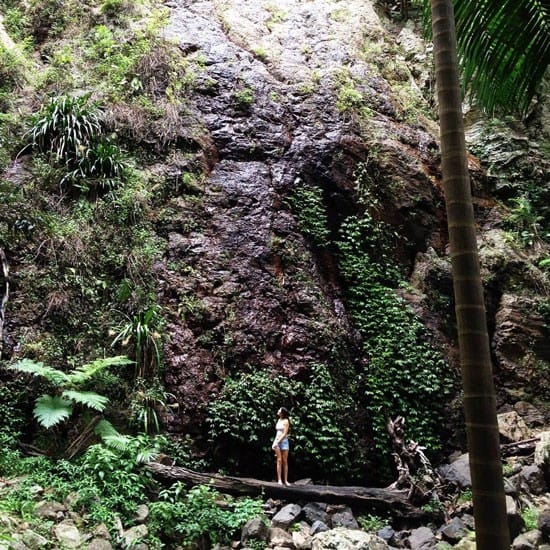 Paraiso australia